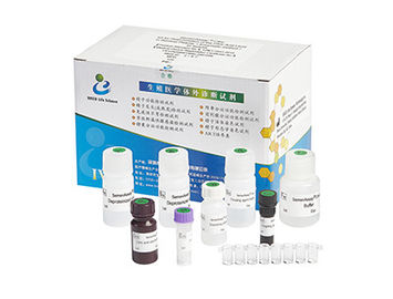 High Accuracy Male Fertility Test Kit 40T/Kit For Male Infertility Diagnosis