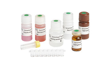 96T/ Elastase Assay Kit BRED-006