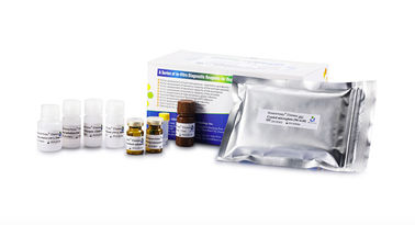 96T/Kit Elastase Assay Kit For Determination Male Infertility Diagnosis