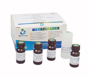 Sperm DNA Fragmentation Test Kit AOT Flow Cell Methodology
