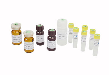 Sperm Maturity Male Fertility Test Kit Sperm Function ROS Assay Kit