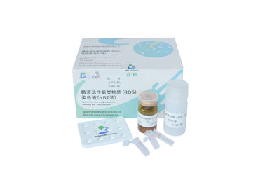 Adult Males ROS Assay Kit Sperm Reactive Oxygen Species Assay Kit NBT Method