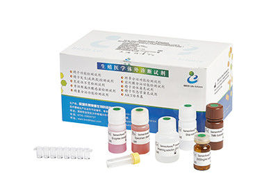 96T/ Elastase Assay Kit BRED-006
